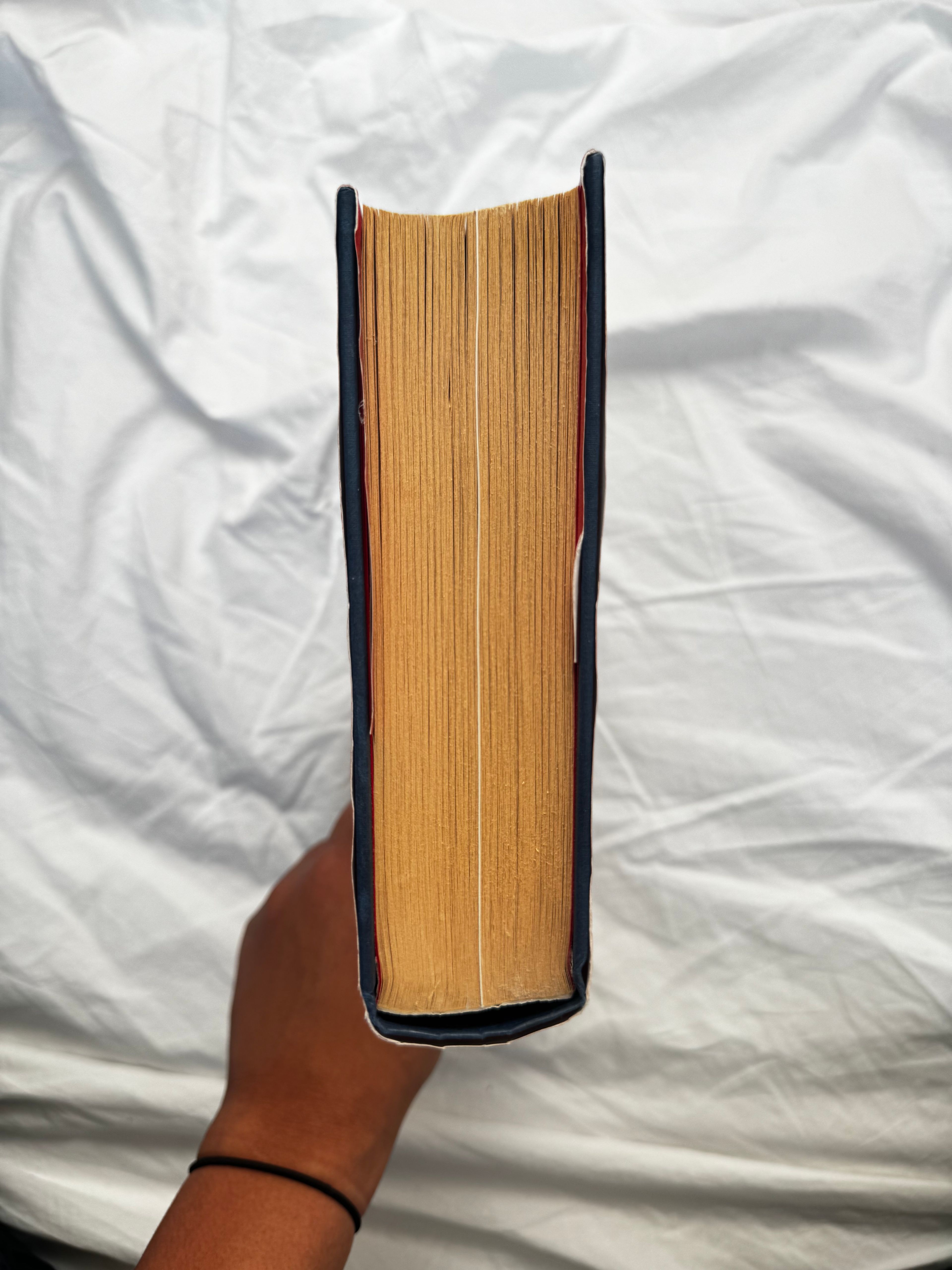 The American Agent: My Life in the CIA by Richard L. Holm - Image 2