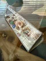 Triangular Glass Shell Shadow Box - Image 2