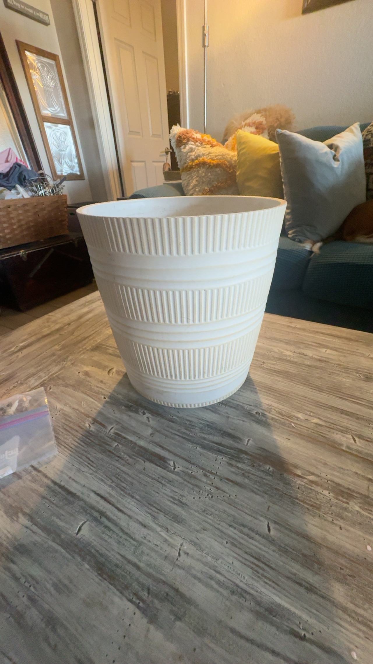 **MUST GO**
Textured Planter Pot-Plastic