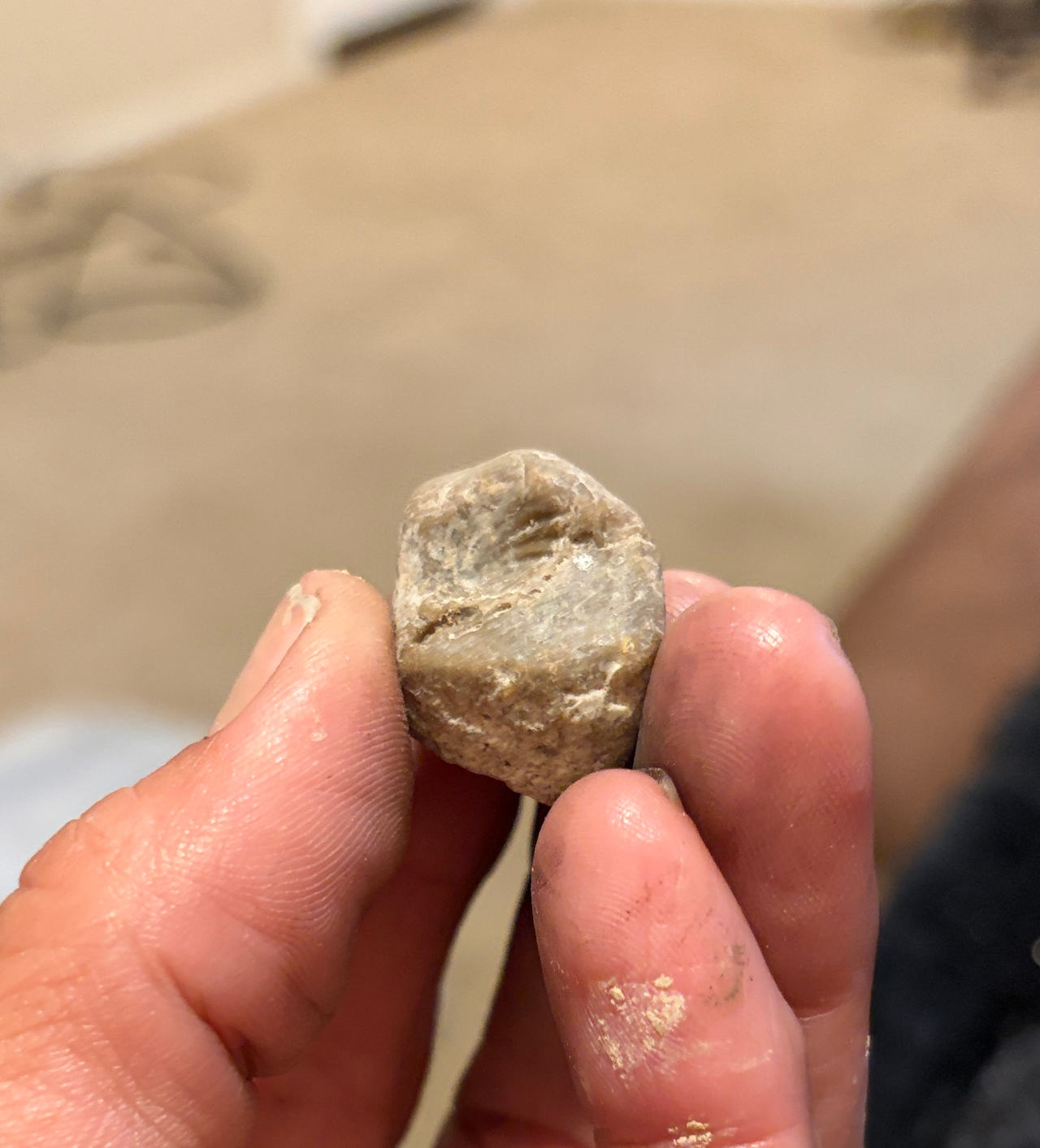 Raw Sapphire Corundum Crystal Specimen
