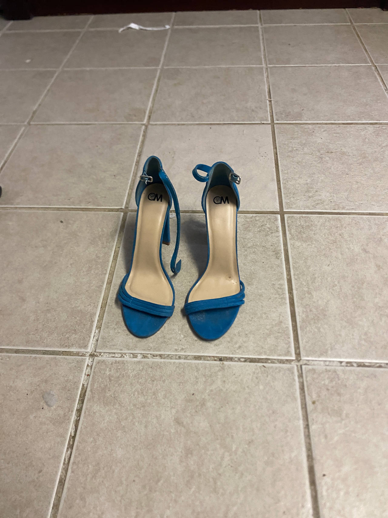 Women's Blue Ankle Strap Heeled Sandals