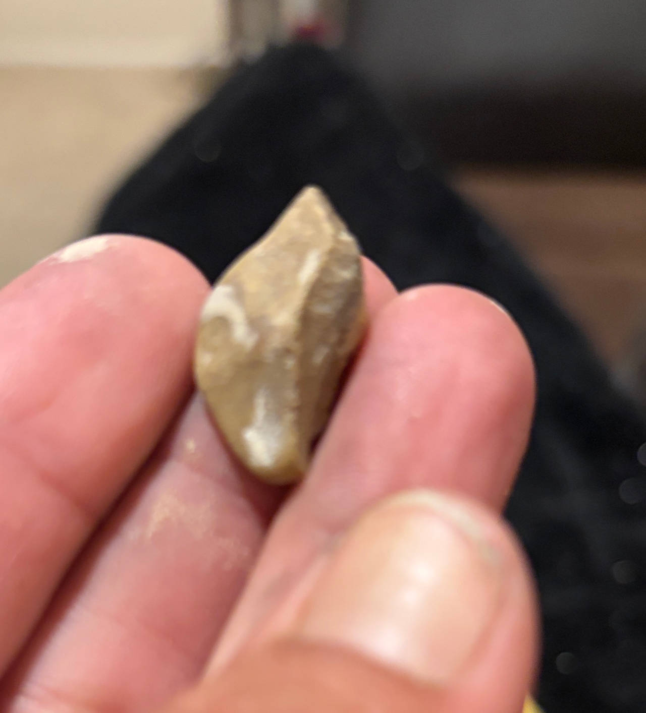Authentic Native American Arrowhead