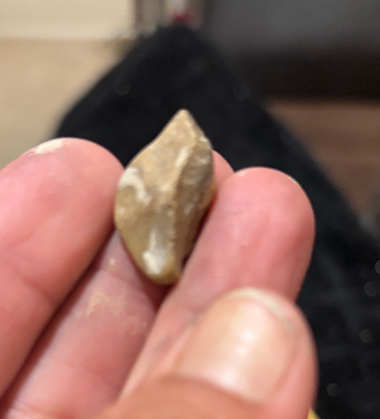 Authentic Native American Arrowhead