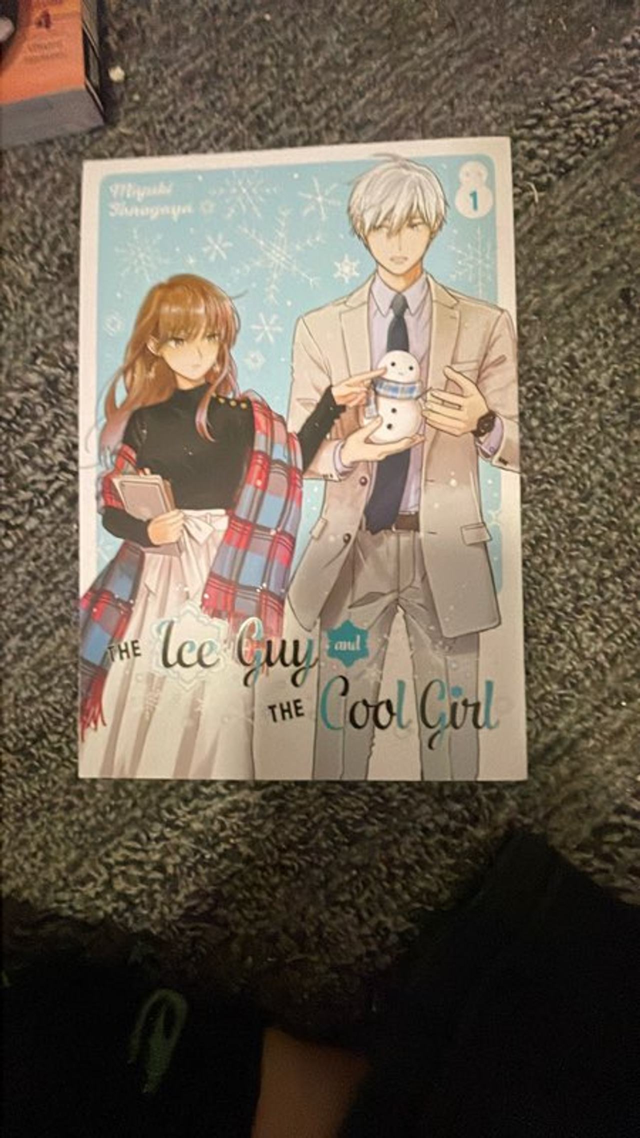The Ice Guy and the Cool Girl