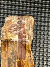 Petrified Wood Brown Slab - Image 7