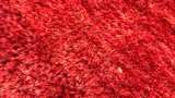 Authentic Persian Rug 48 x 70 Red - Image 4