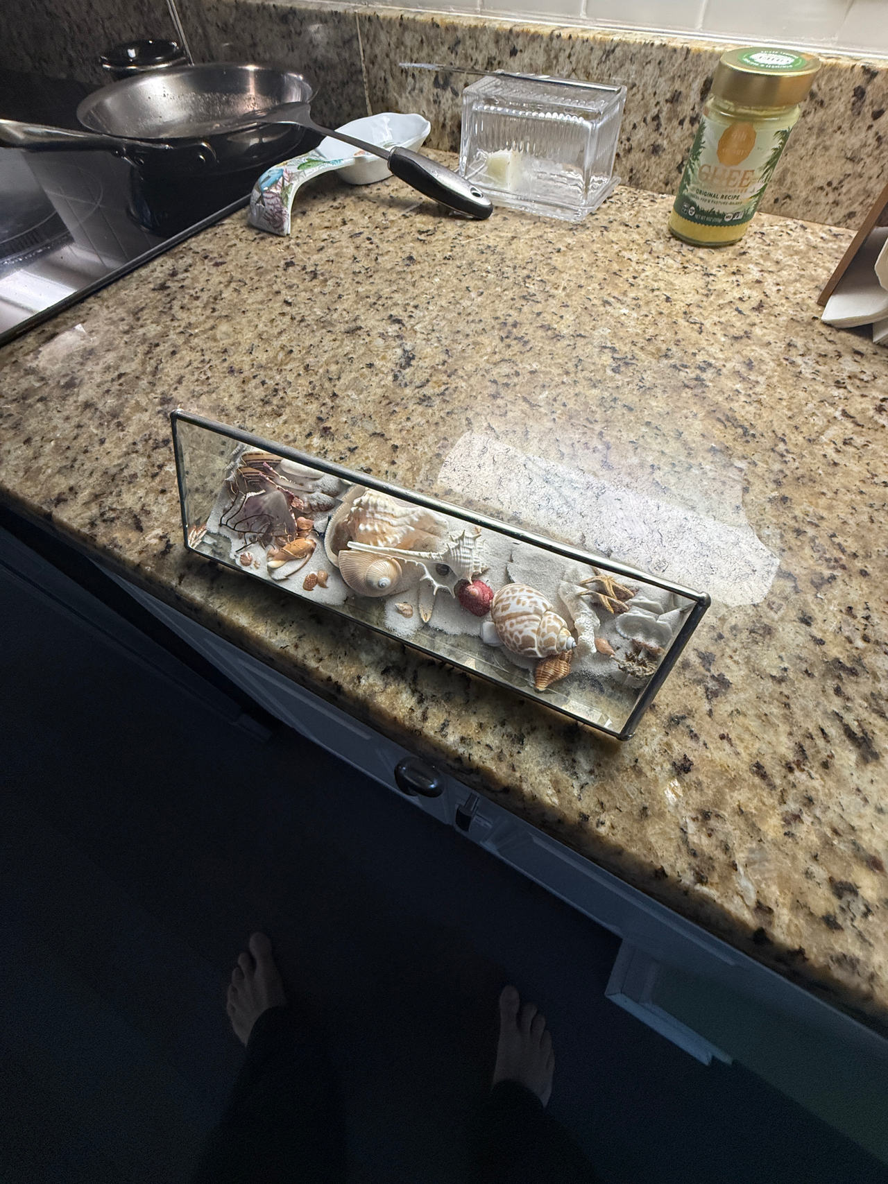 Triangular Glass Shell Shadow Box