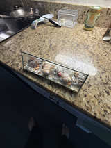 Triangular Glass Shell Shadow Box - Image 1