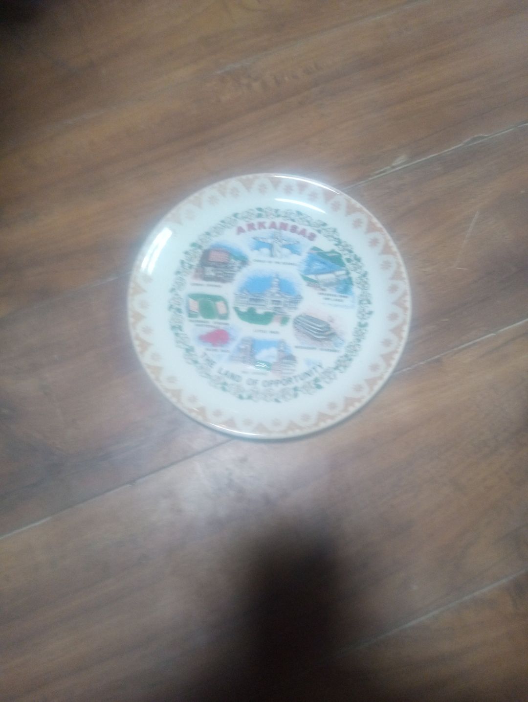 Vintage Arkansas Souvenir Collector Plate