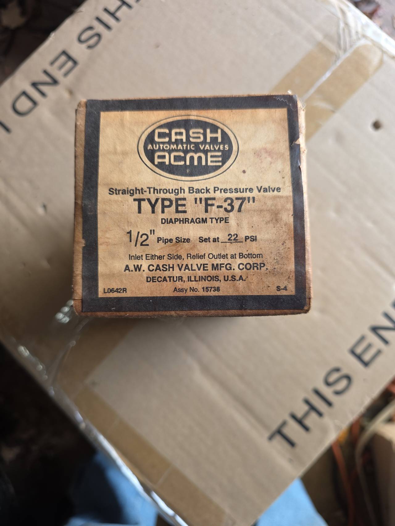 Cash Acme Type F-37 Back Pressure Valve