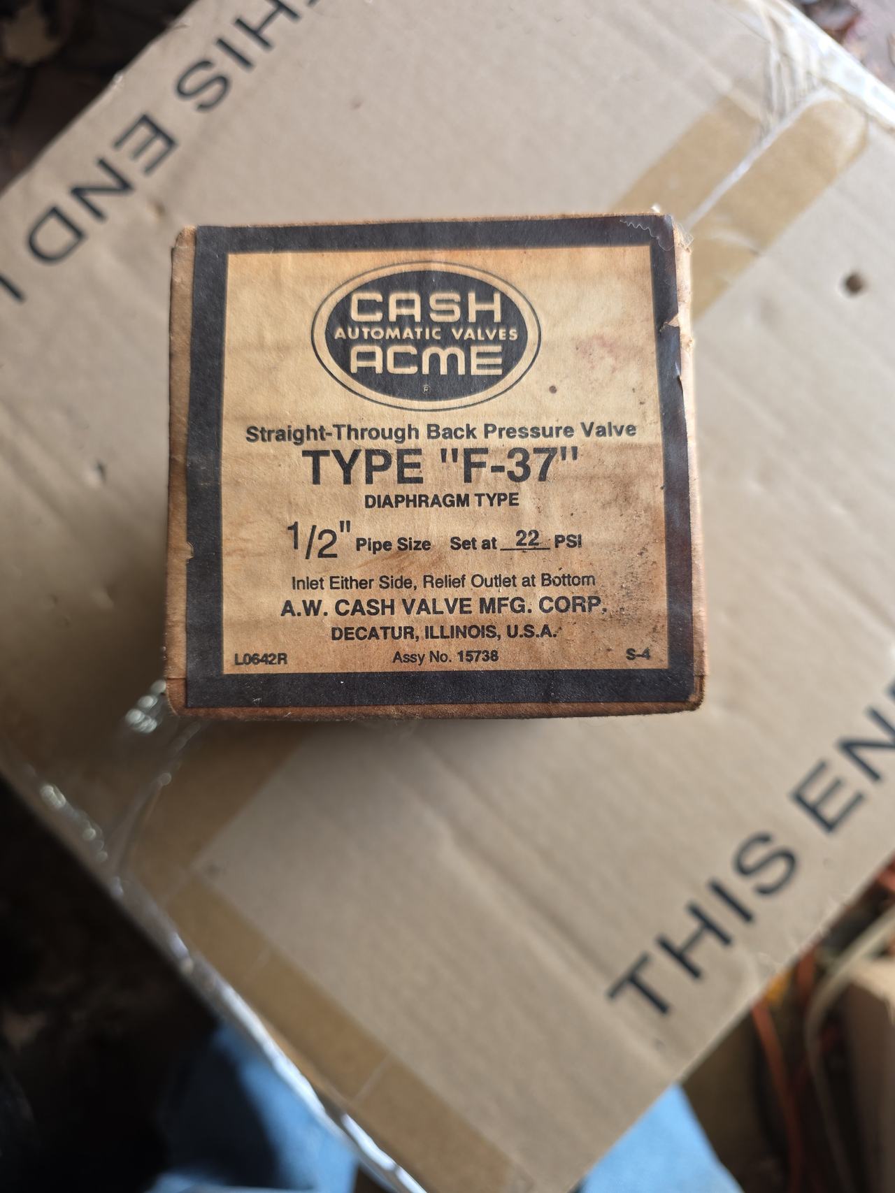 Cash Acme Type F-37 Back Pressure Valve