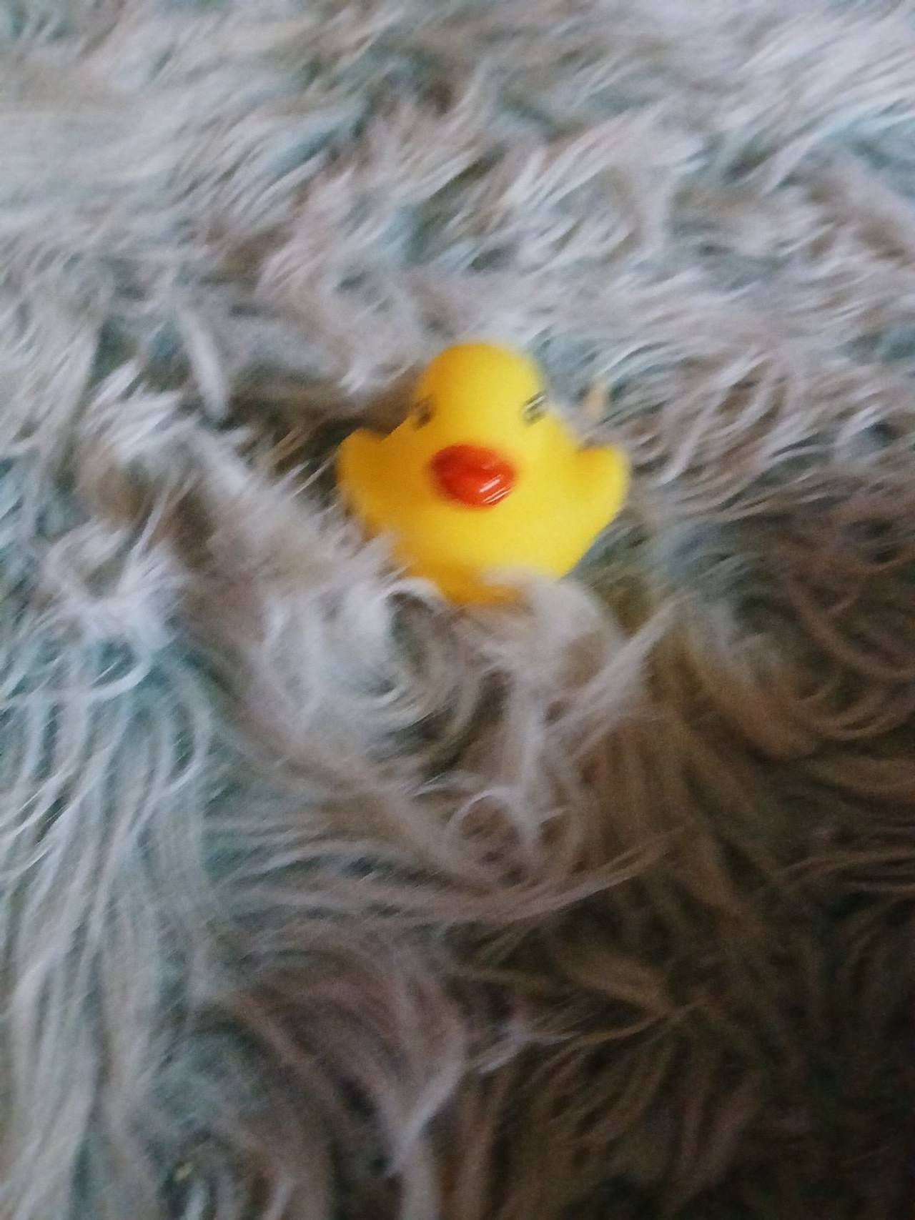 Yellow Rubber Duck