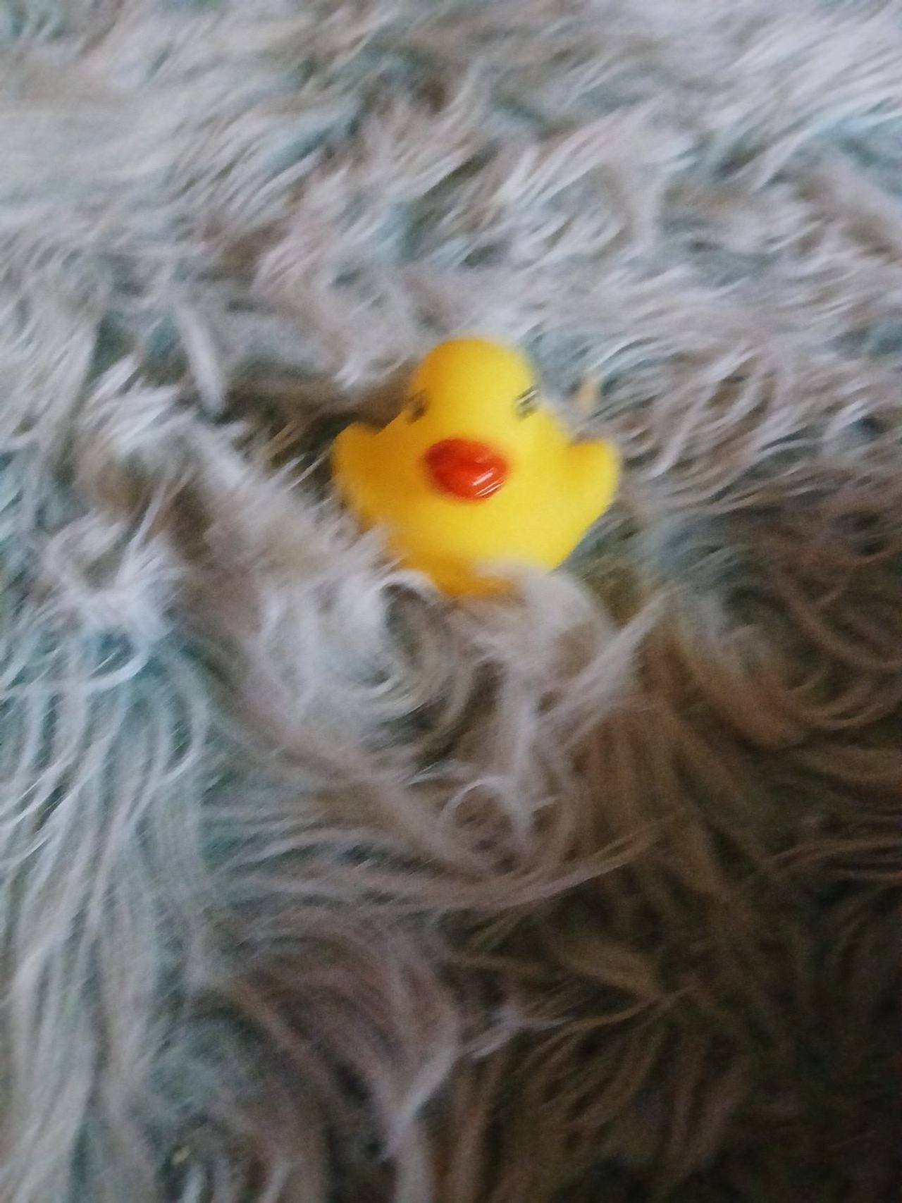 Yellow Rubber Duck