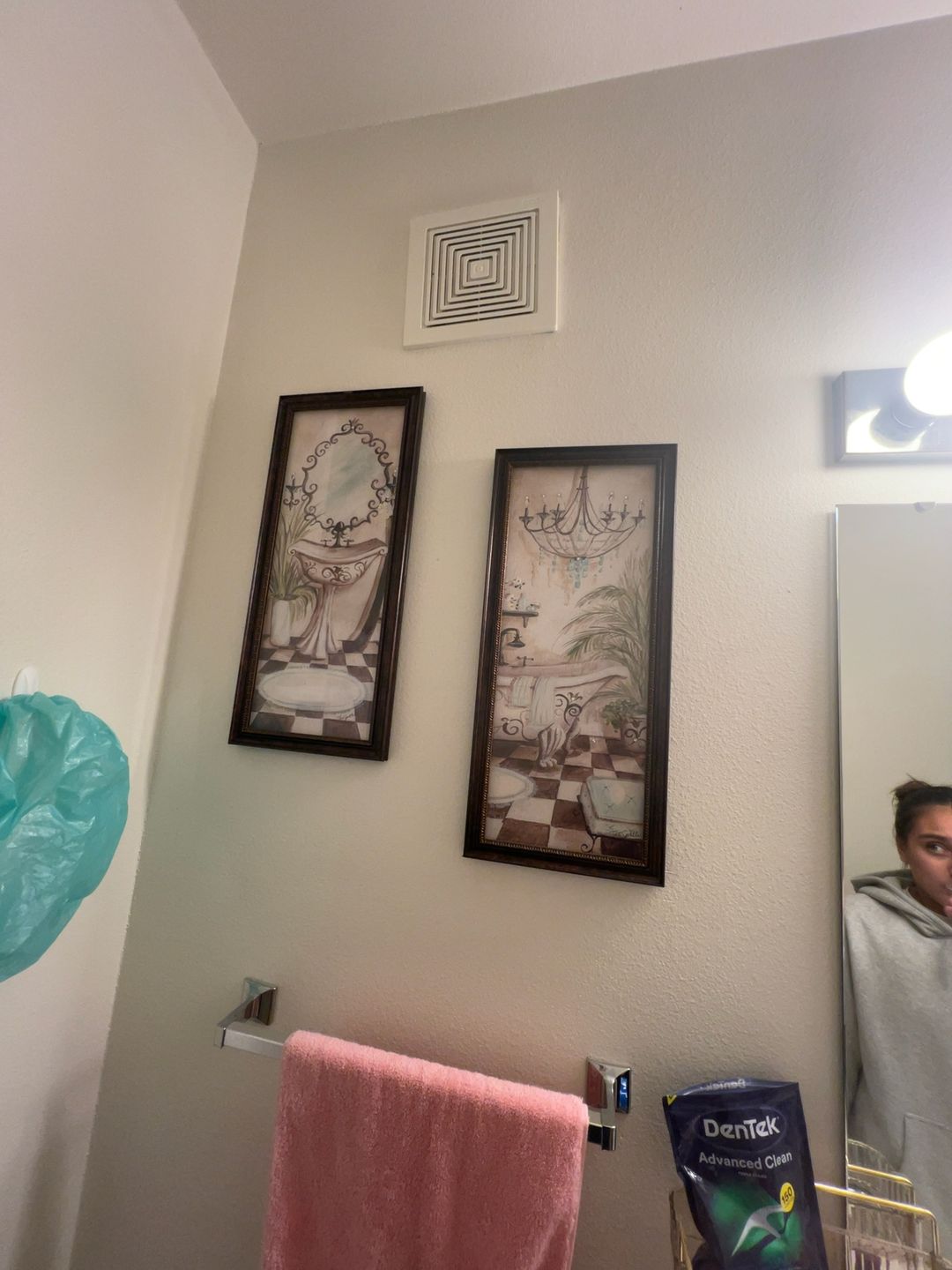 Marie Elaine Cusson Fleur de Lis Bath Panel II Framed Print