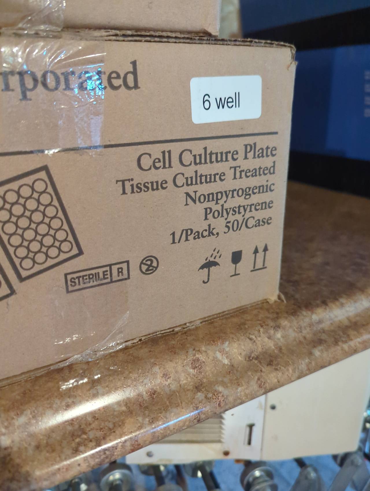 Corning 6 Well Cell Culture Plate, Tissue Culture Treated