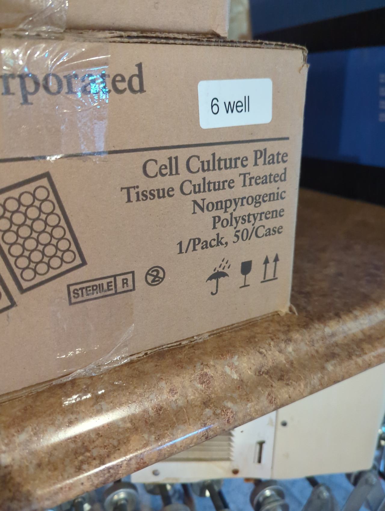 Corning 6 Well Cell Culture Plate, Tissue Culture Treated