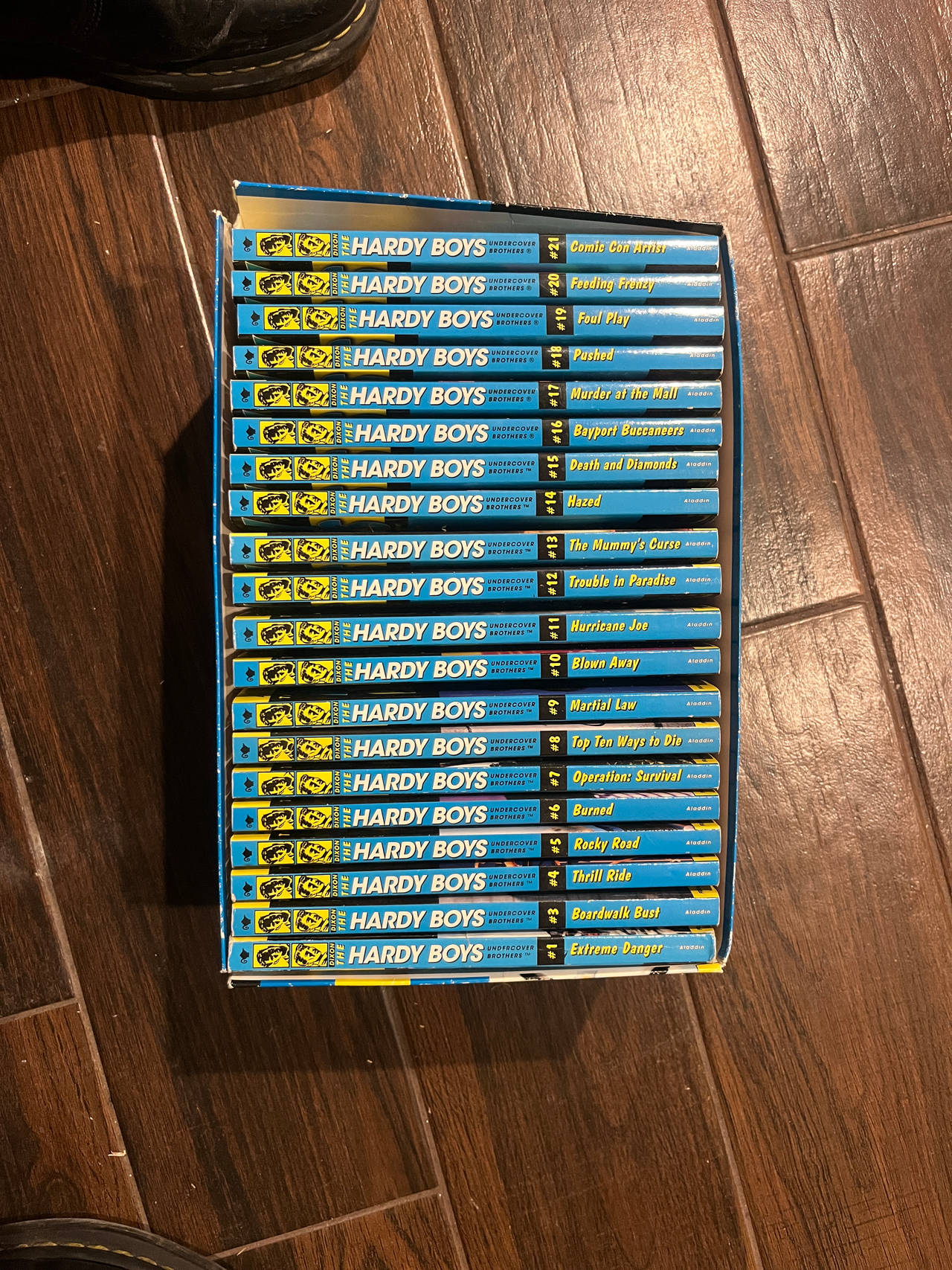 The Hardy Boys Undercover Brothers Box Set (Books 1-21)