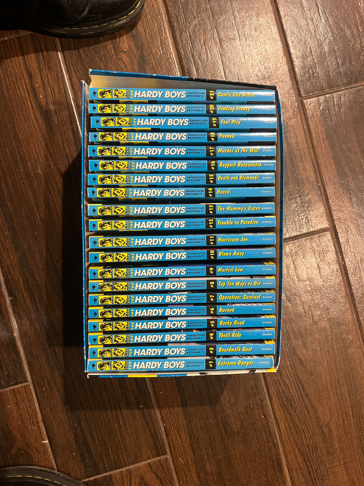 The Hardy Boys Undercover Brothers Box Set (Books 1-21)
