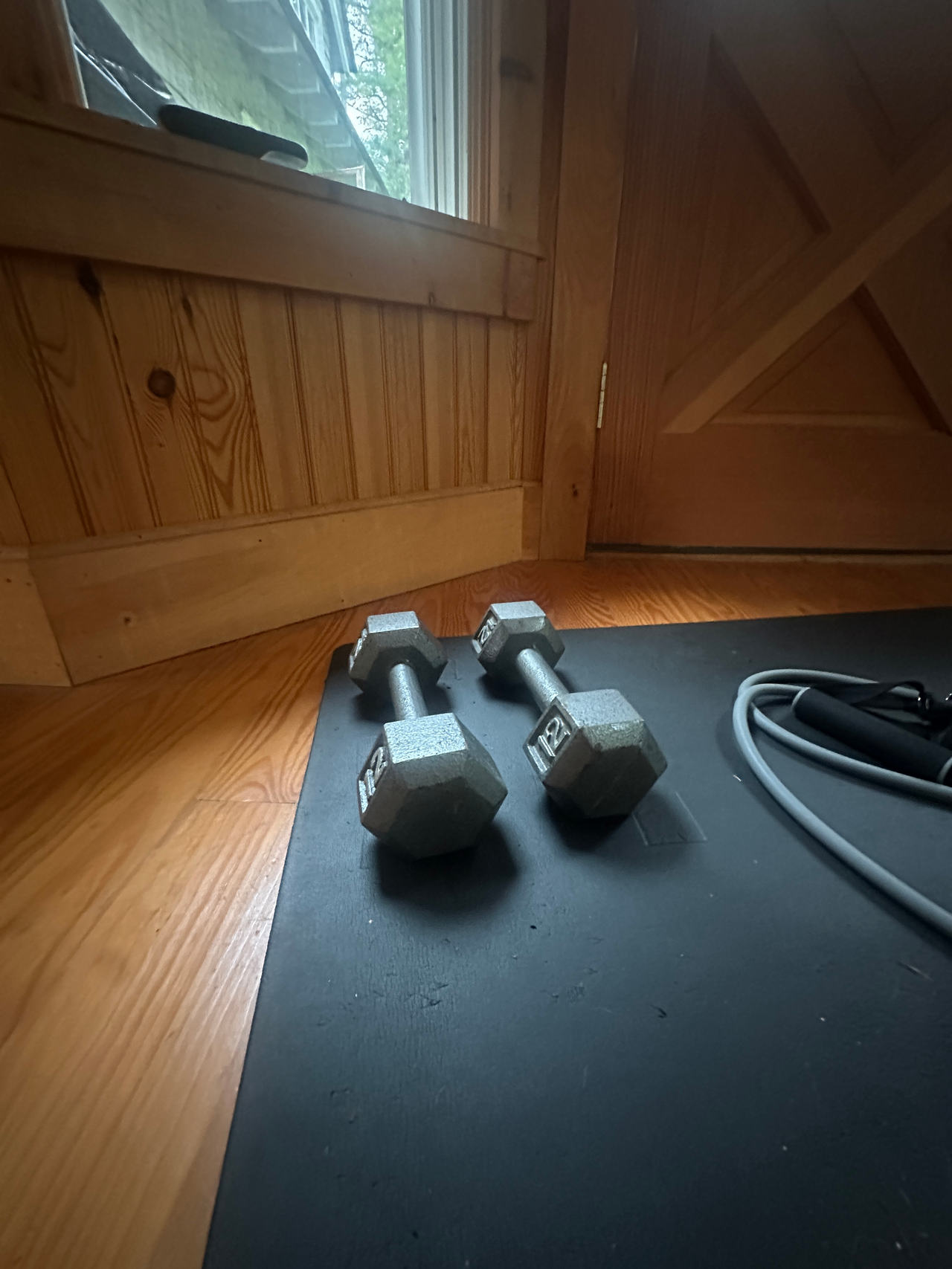 Hex Dumbbells