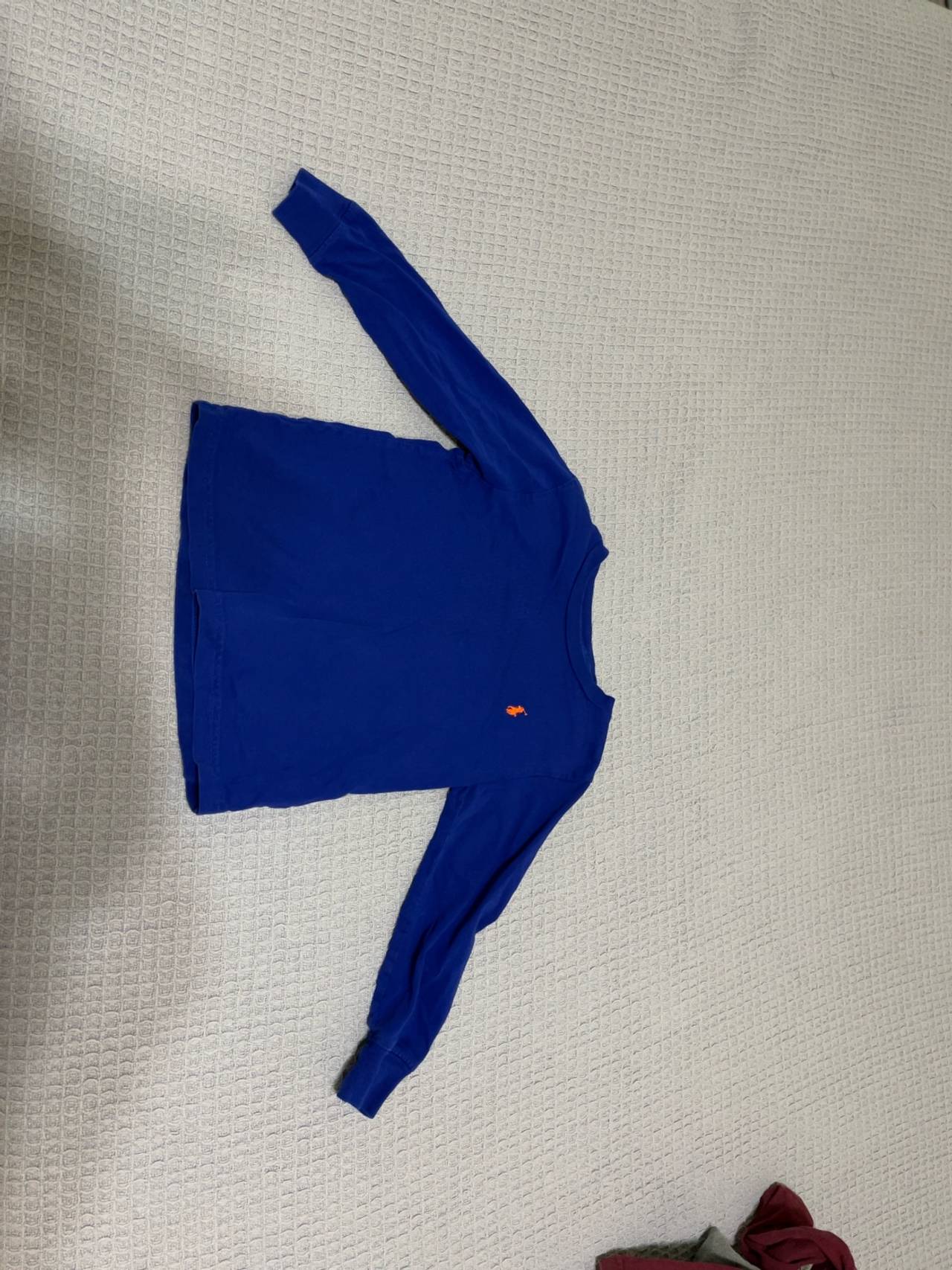 Ralph Lauren Polo Long Sleeve Shirt Blue Toddler 4T