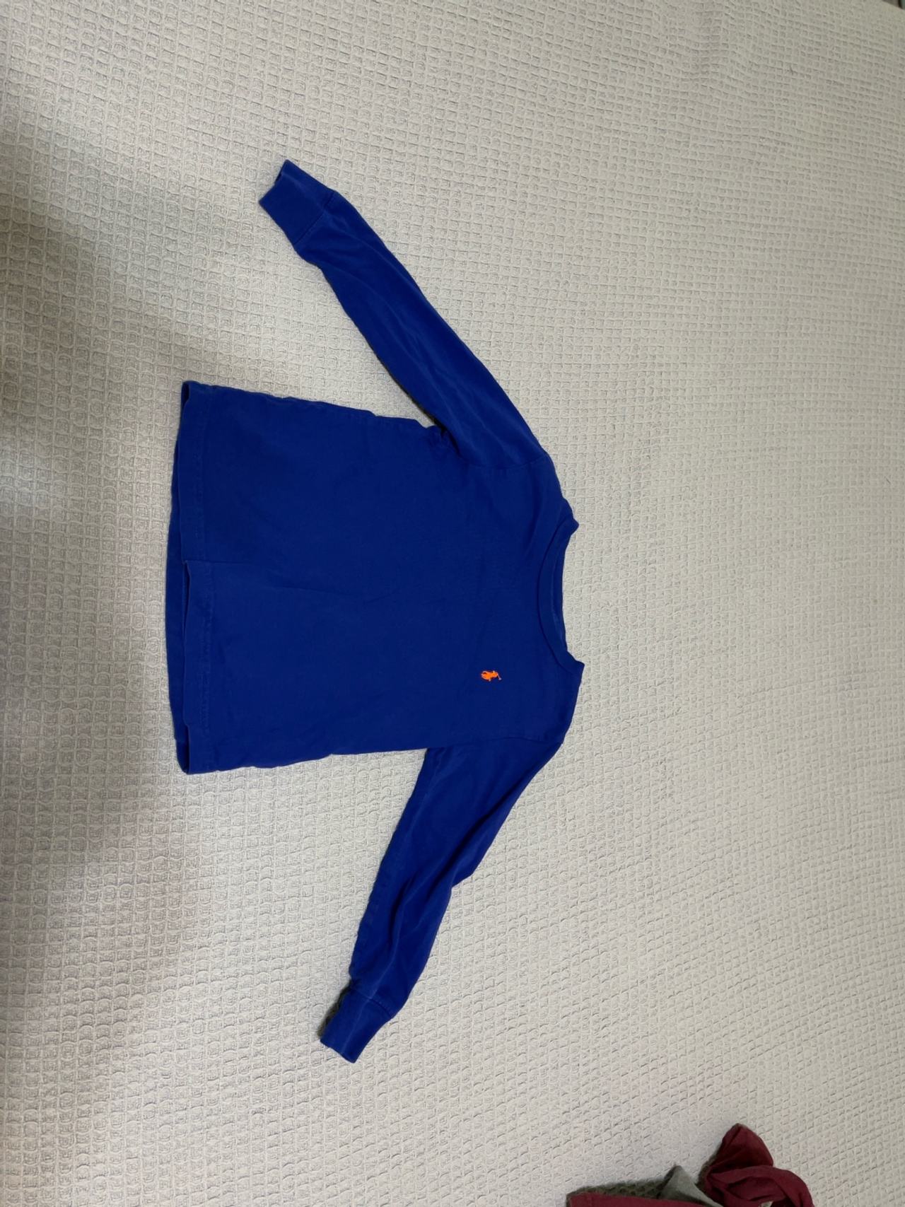 Ralph Lauren Polo Long Sleeve Shirt Blue Toddler 4T