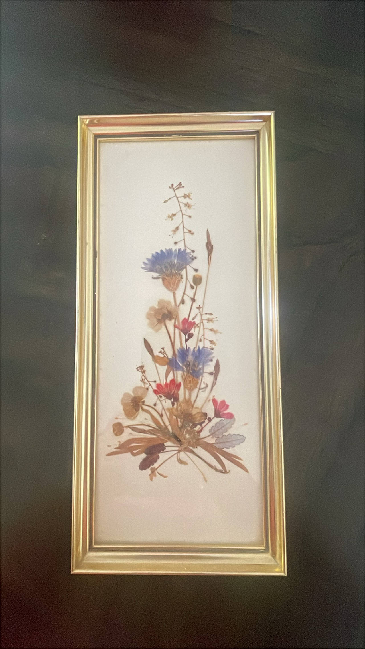 Framed Pressed Flower Art
