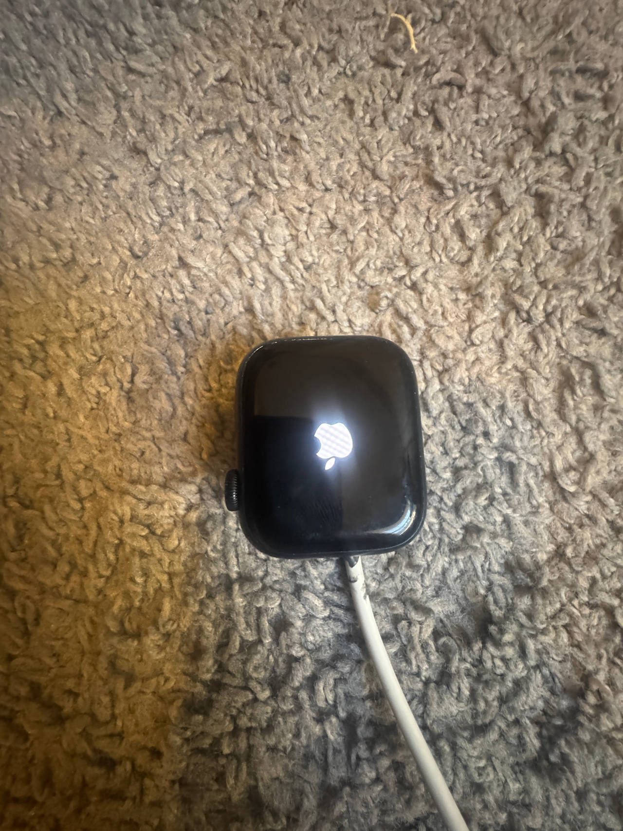 Apple Watch Series 6