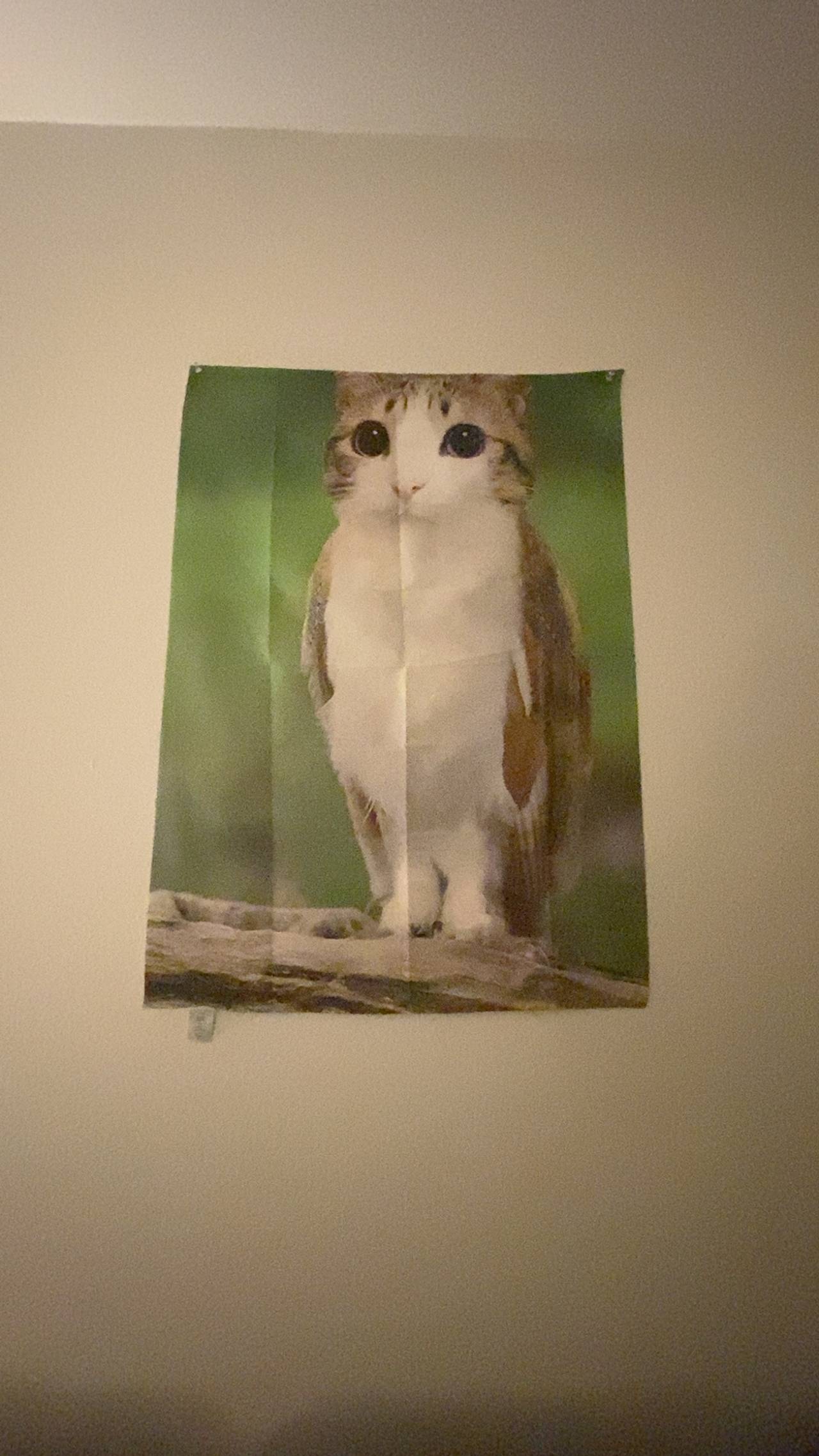 Meowl Cat Owl Meme Print