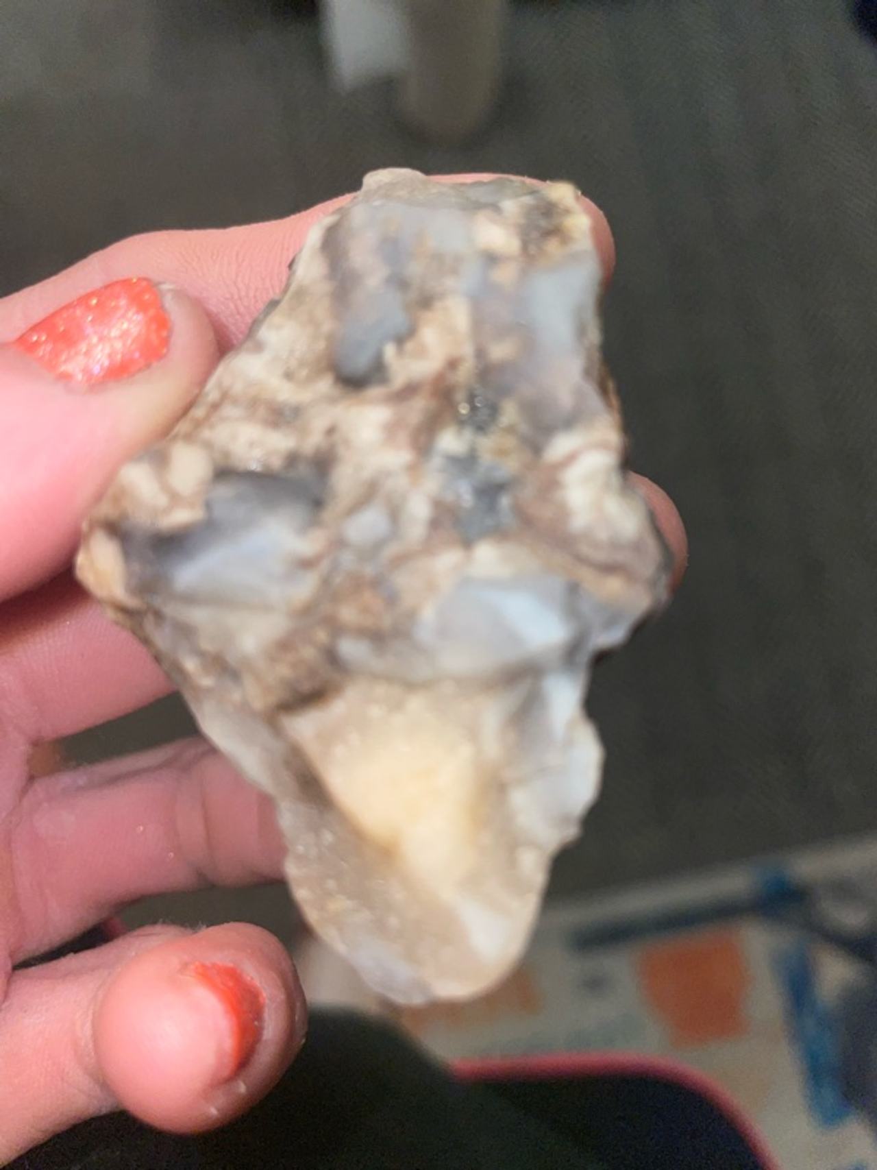 Petrified Fossilized Wood Tree Log