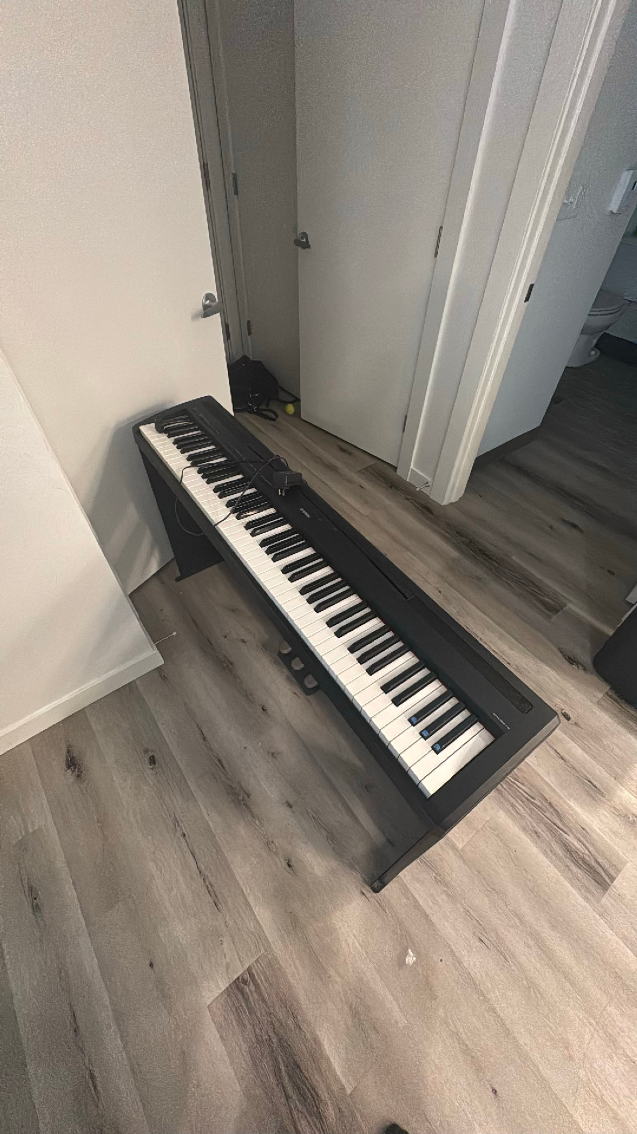 Digital Piano