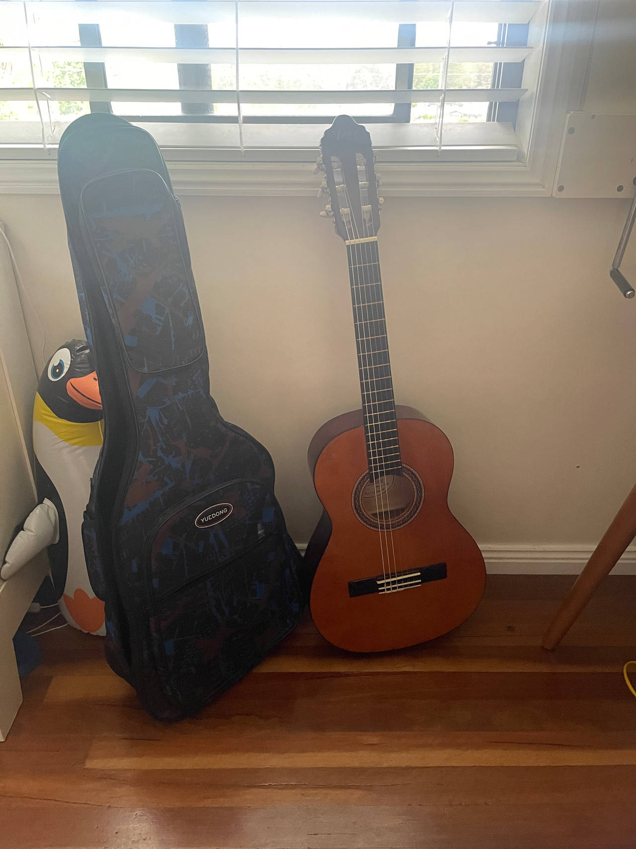 Classical Acoustic Guitar