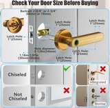 Evanshow Smart Fingerprint Door Lock Lever - Image 4