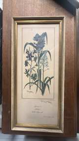 Ray Harm Framed Wildflower Prints Set of 3 - Image 2