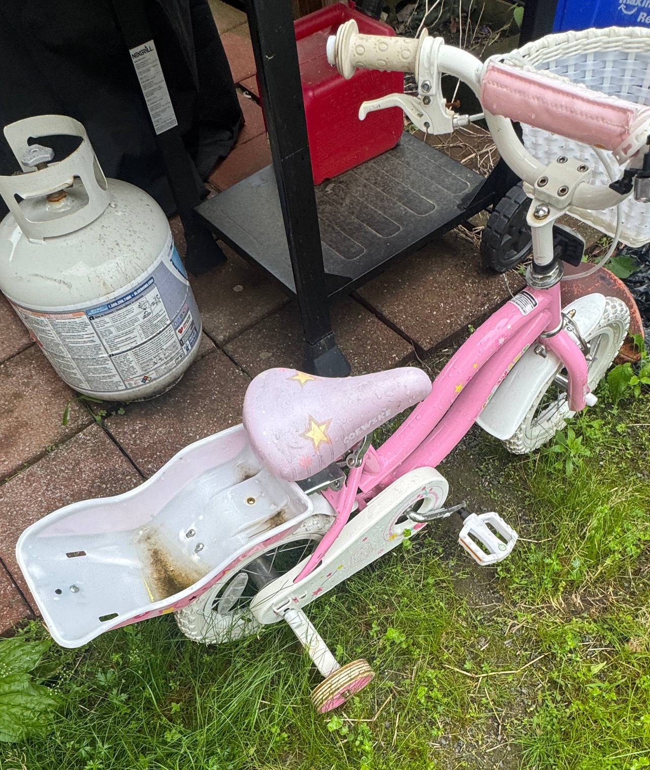 Schwinn Iris 12" Kids' Bike with Doll Seat
