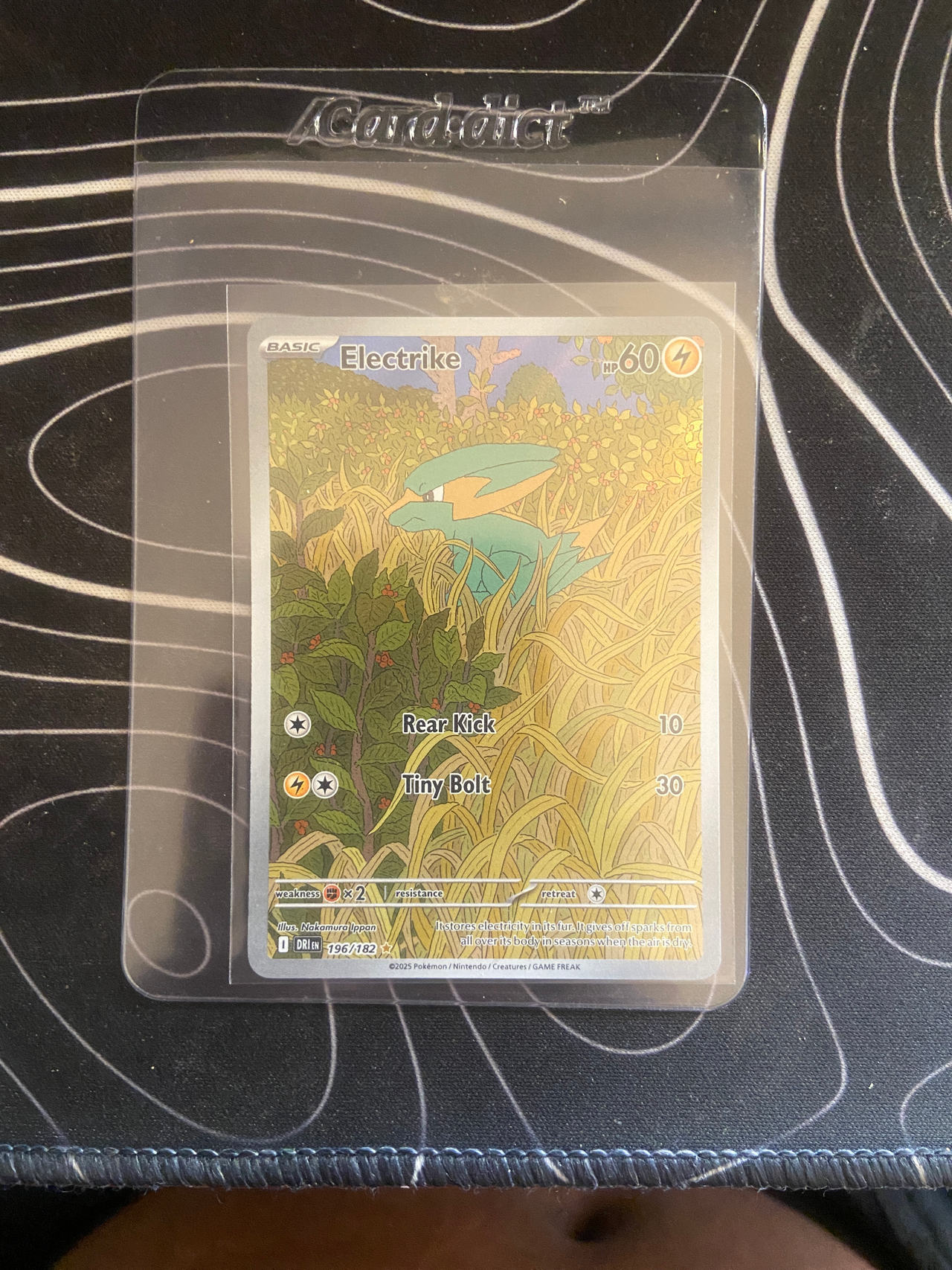 Electrike Pokémon Card