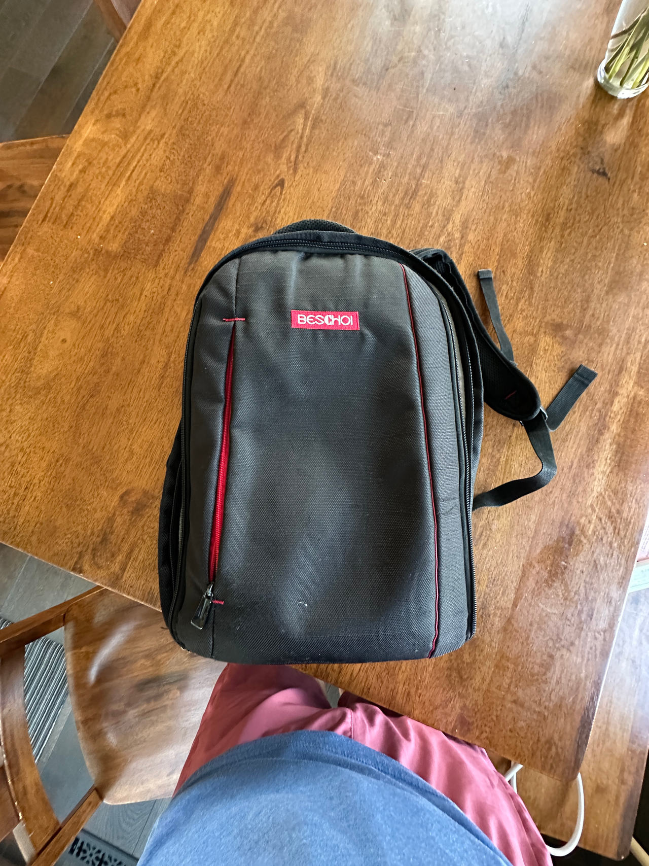 Beschoi Camera Backpack
