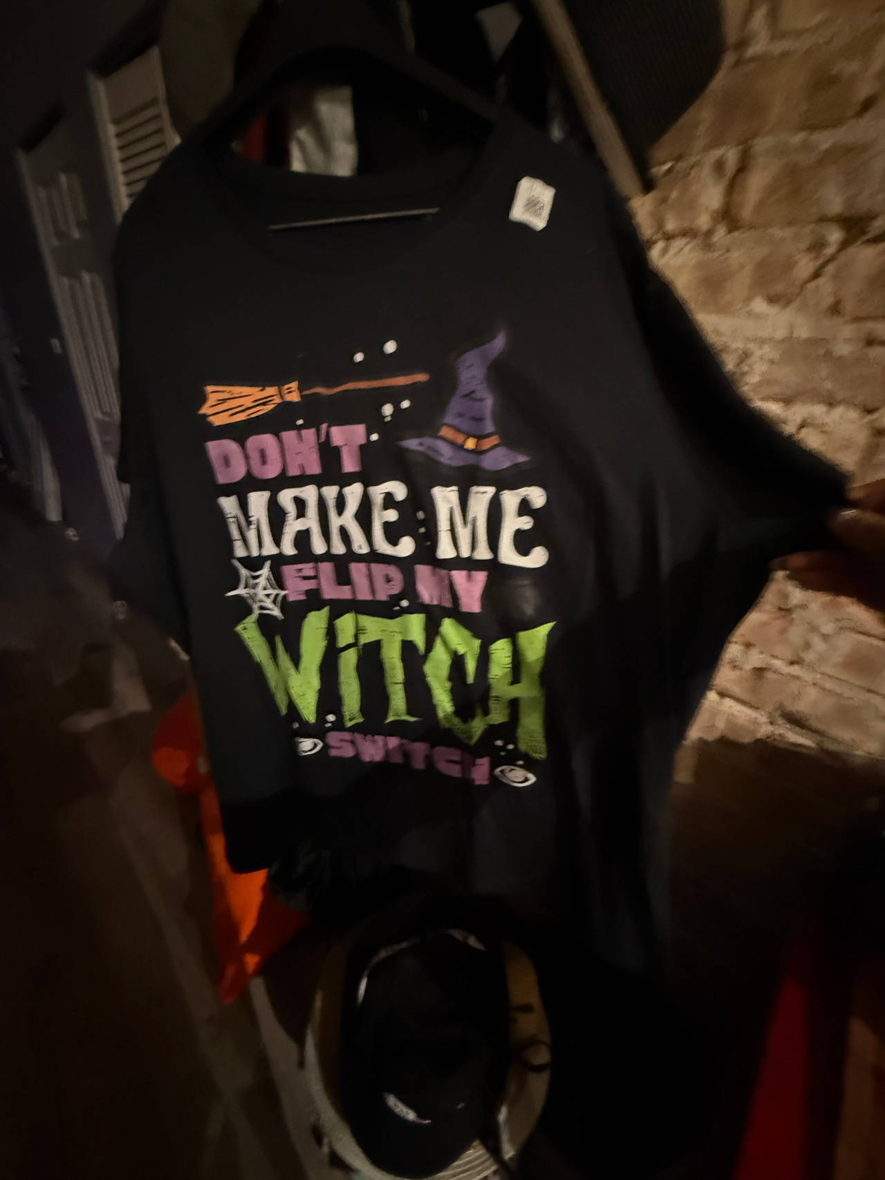 Don't Make Me Flip My Witch Switch Halloween T-Shirt