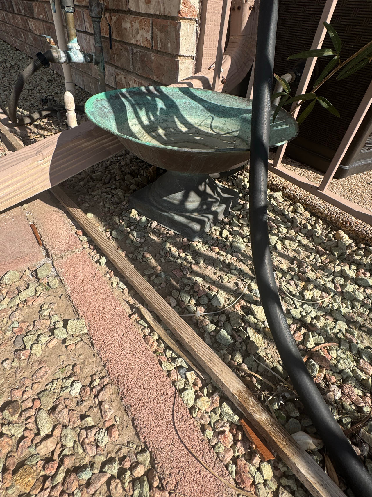 Bird Bath