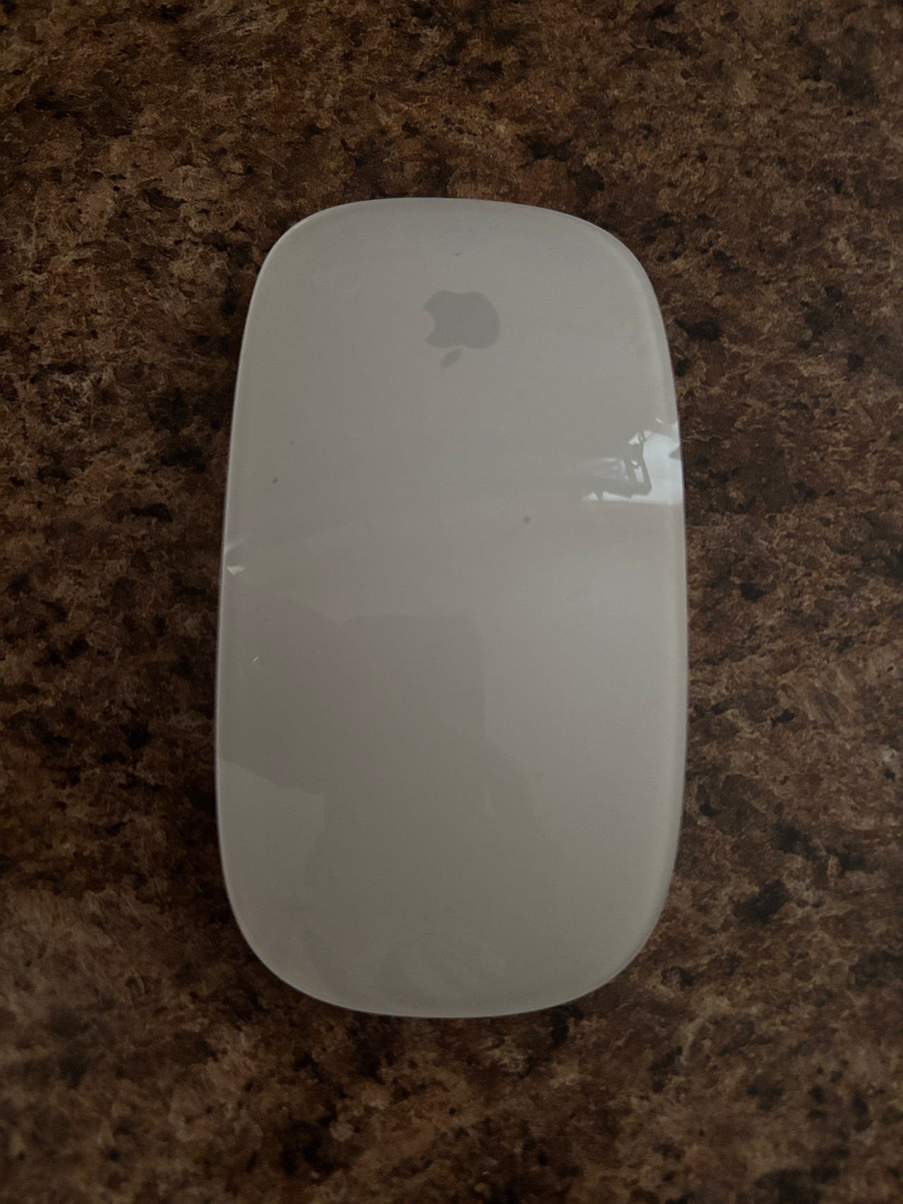 Apple Magic Mouse
