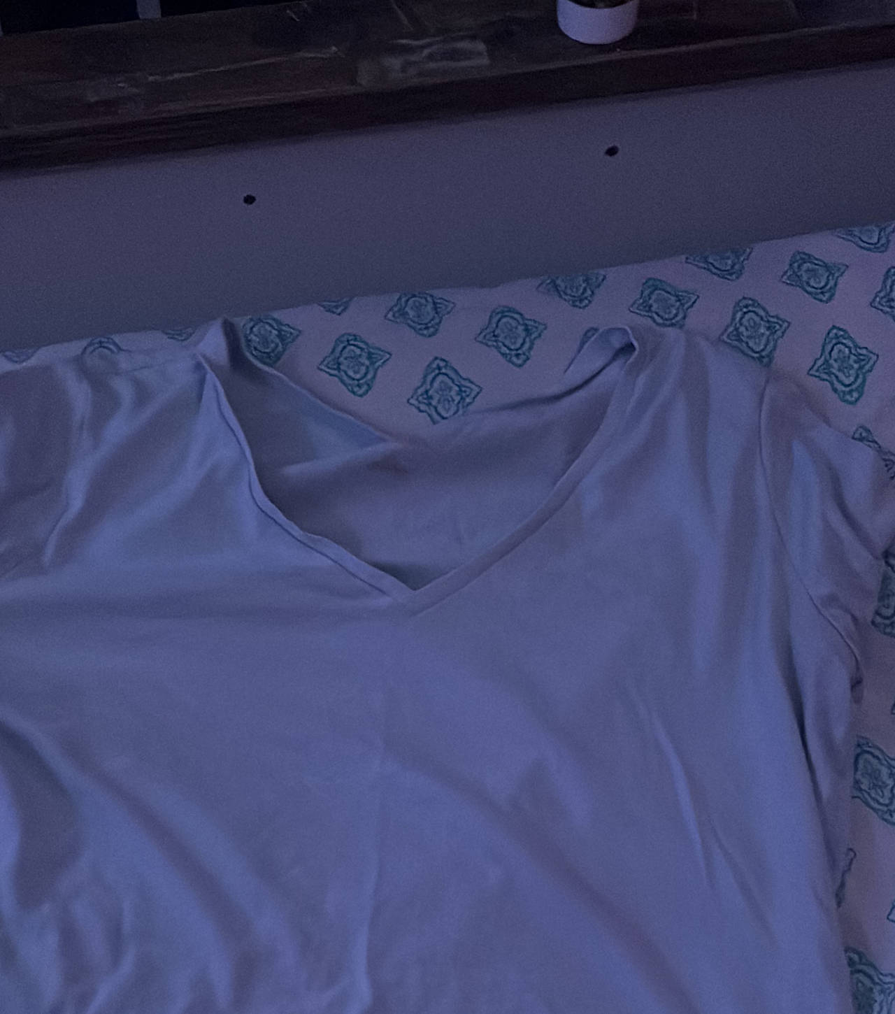 Women's V-Neck Short Sleeve T-Shirt