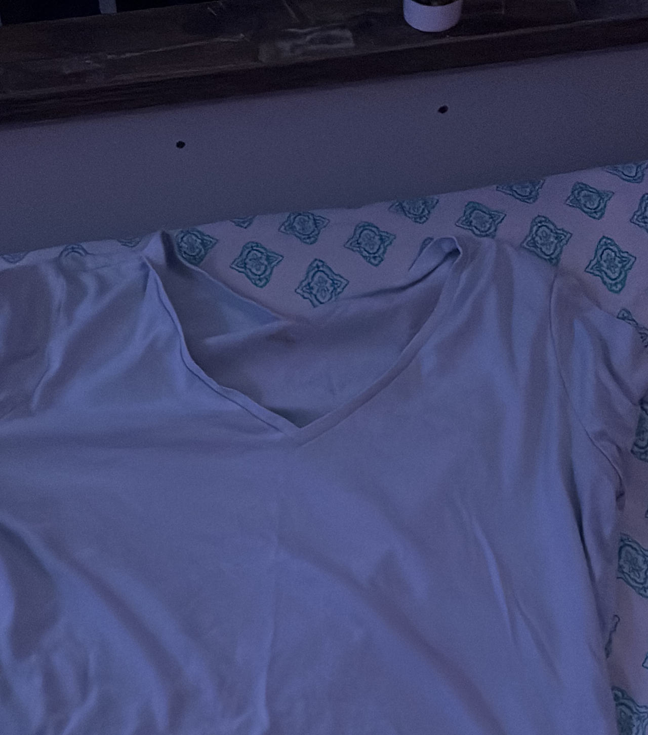 Women's V-Neck Short Sleeve T-Shirt