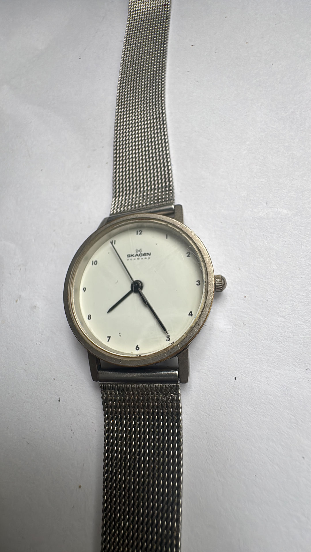 Skagen Watch