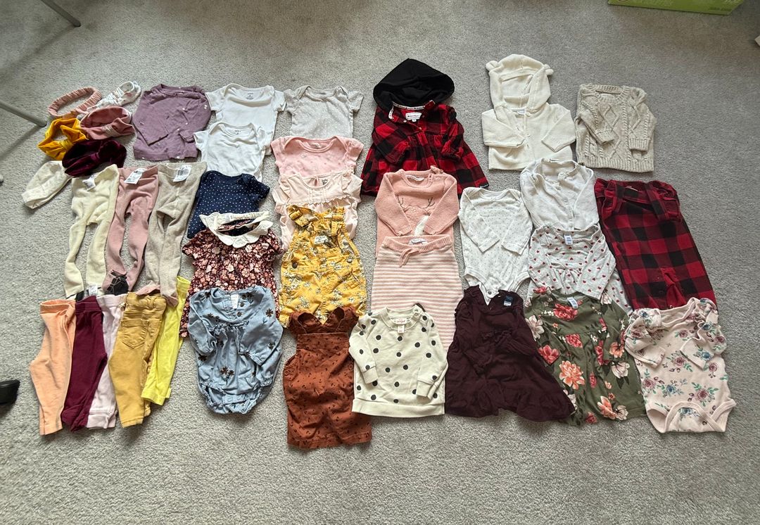 Baby Girl Clothing Lot 3-9M