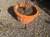 Terracotta Planter Pot - Image 1