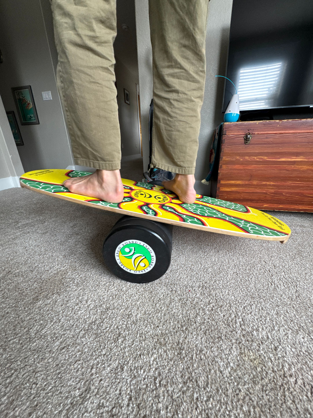 Indo Board Balance Trainer