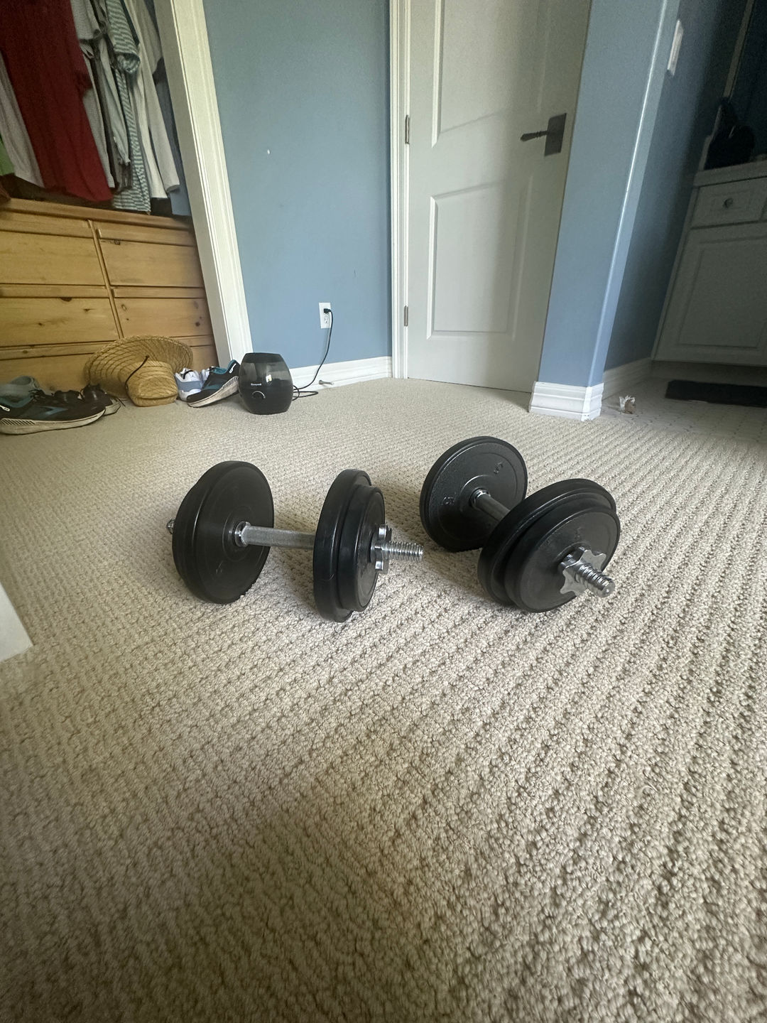 Adjustable Dumbbells