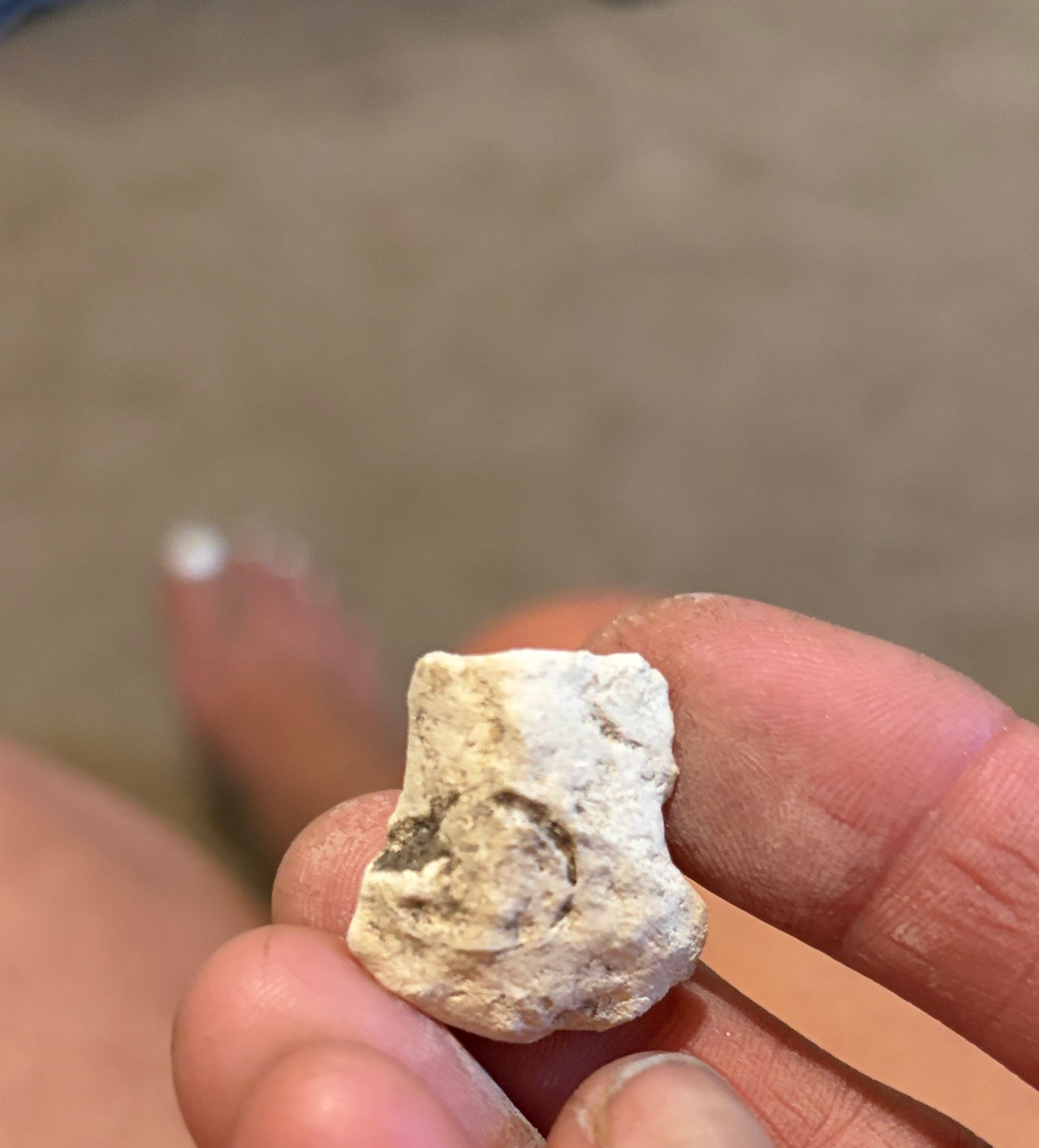 Native American Arrowhead Fragment