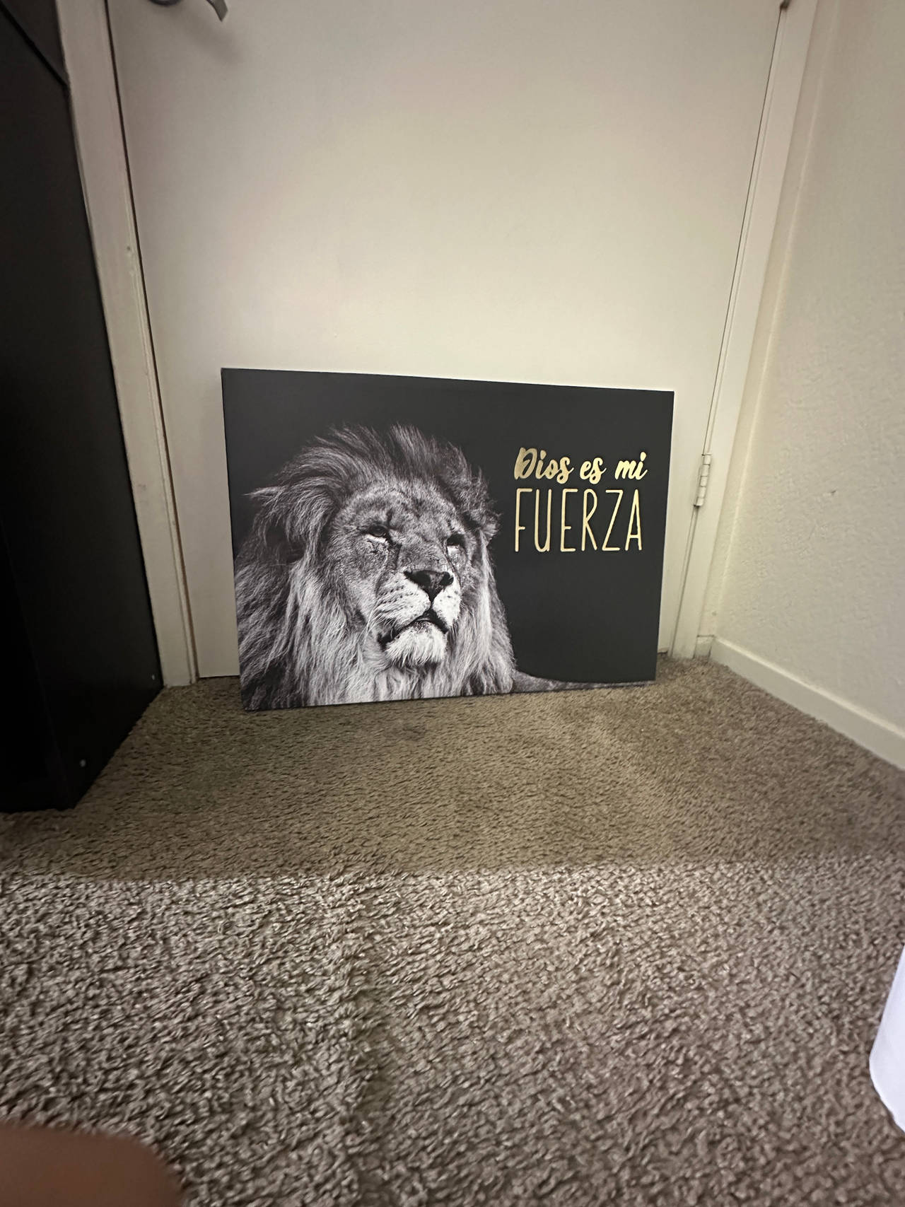 Lion Inspirational Wall Art