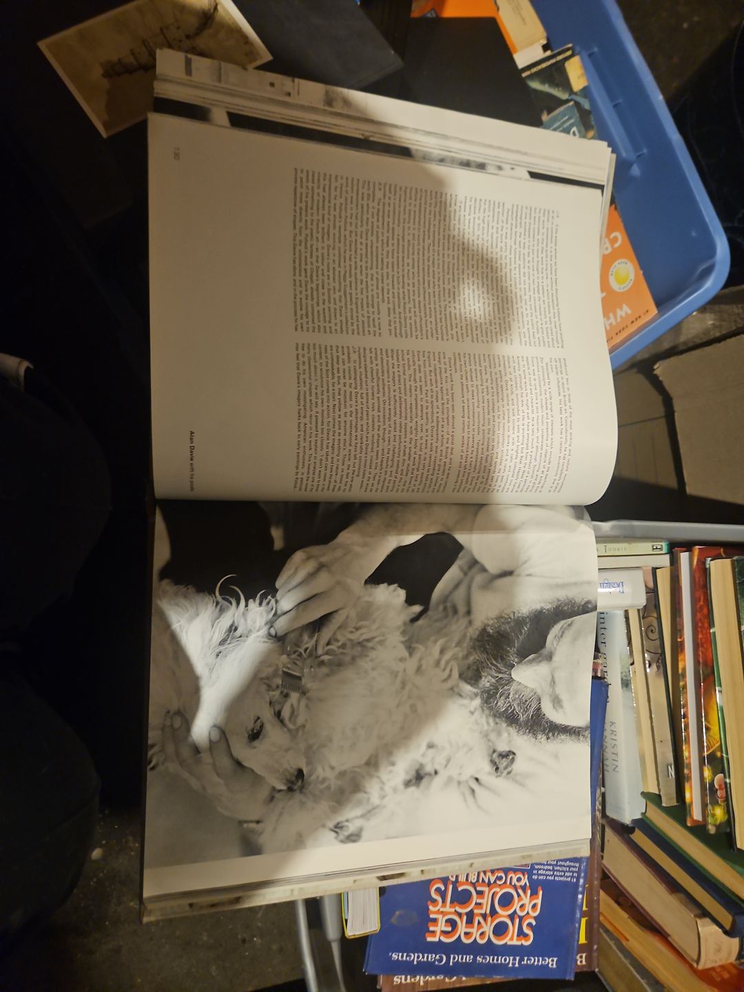 Private View: The Lively World of British Art