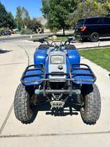 Yamaha Polaris ATV 300 - Image 3
